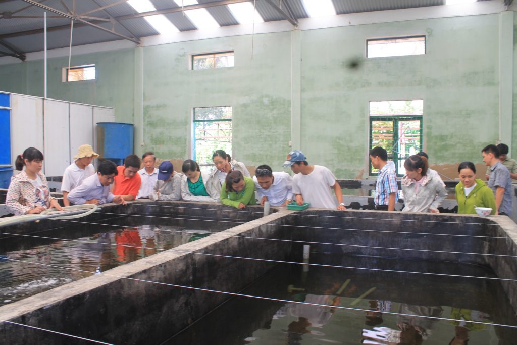 Tập huấn kỹ thuật trồng trọt và phương pháp khuyến nông