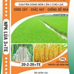 Phân hỗn hợp bón rễ  NN07 – NPK Lúa 3-TE